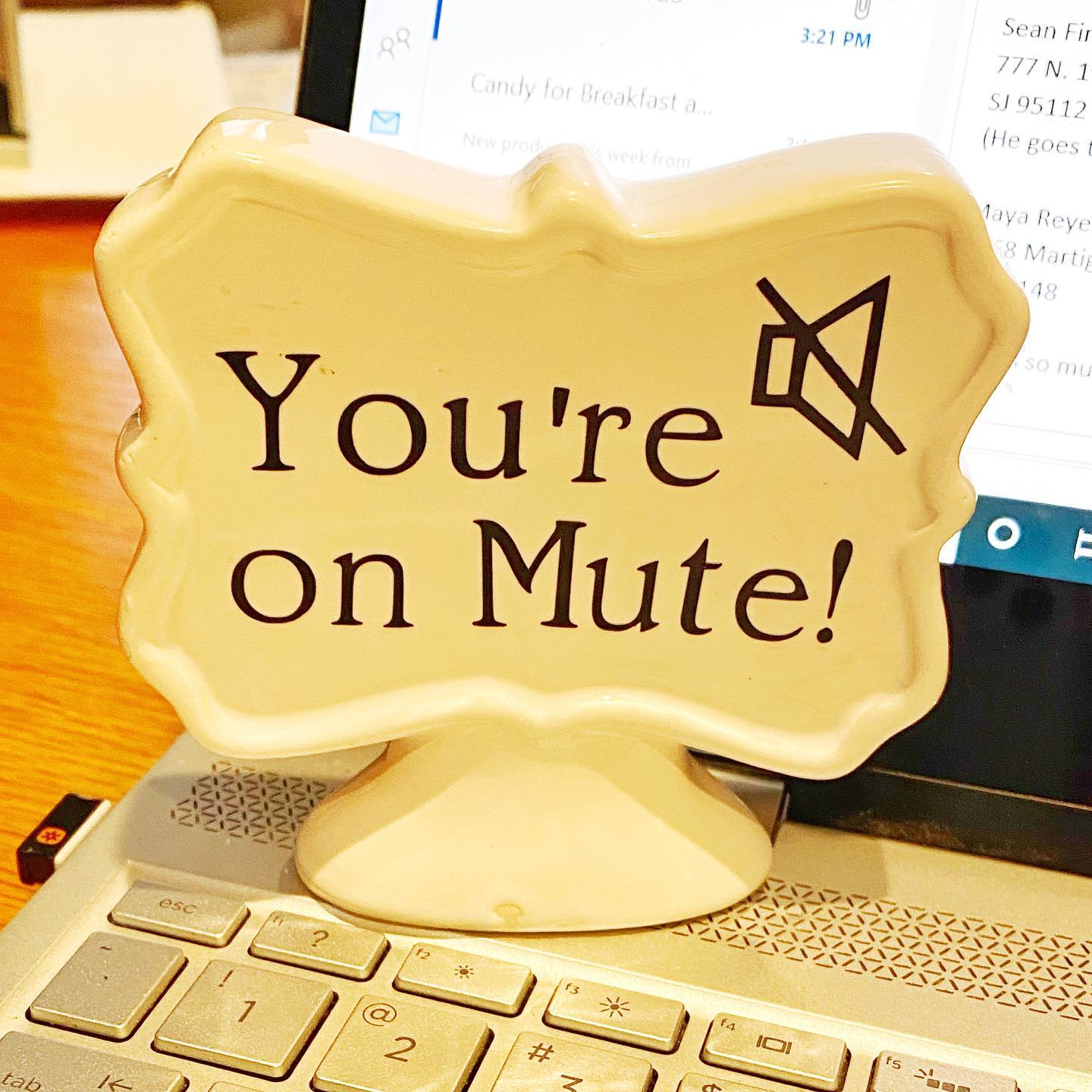 mute-you-are-on-mute